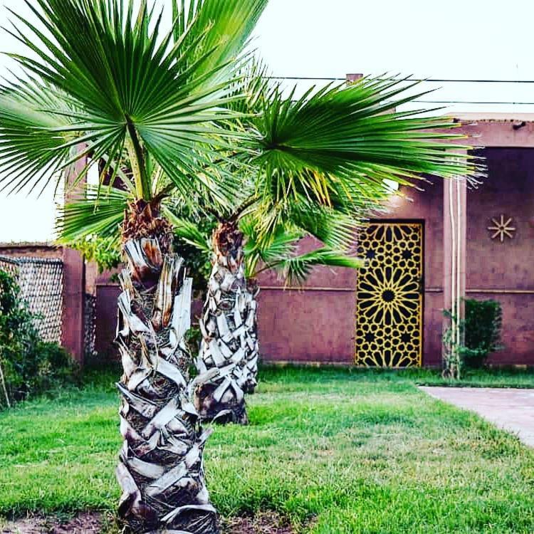 Riad Darga Rouge Ouled Bouzid ภายนอก รูปภาพ